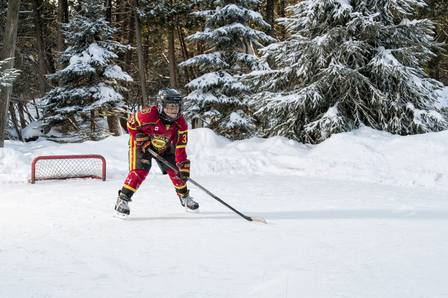 Backyard rink kit