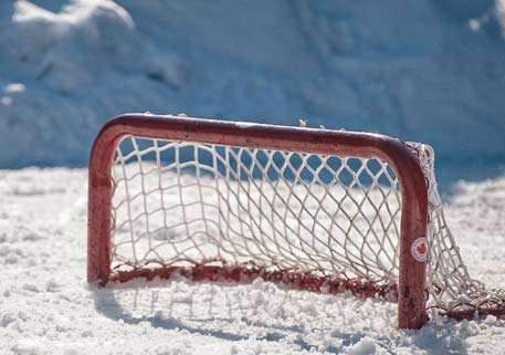 Pond Hockey Net 3 x 1-ft backyard rink