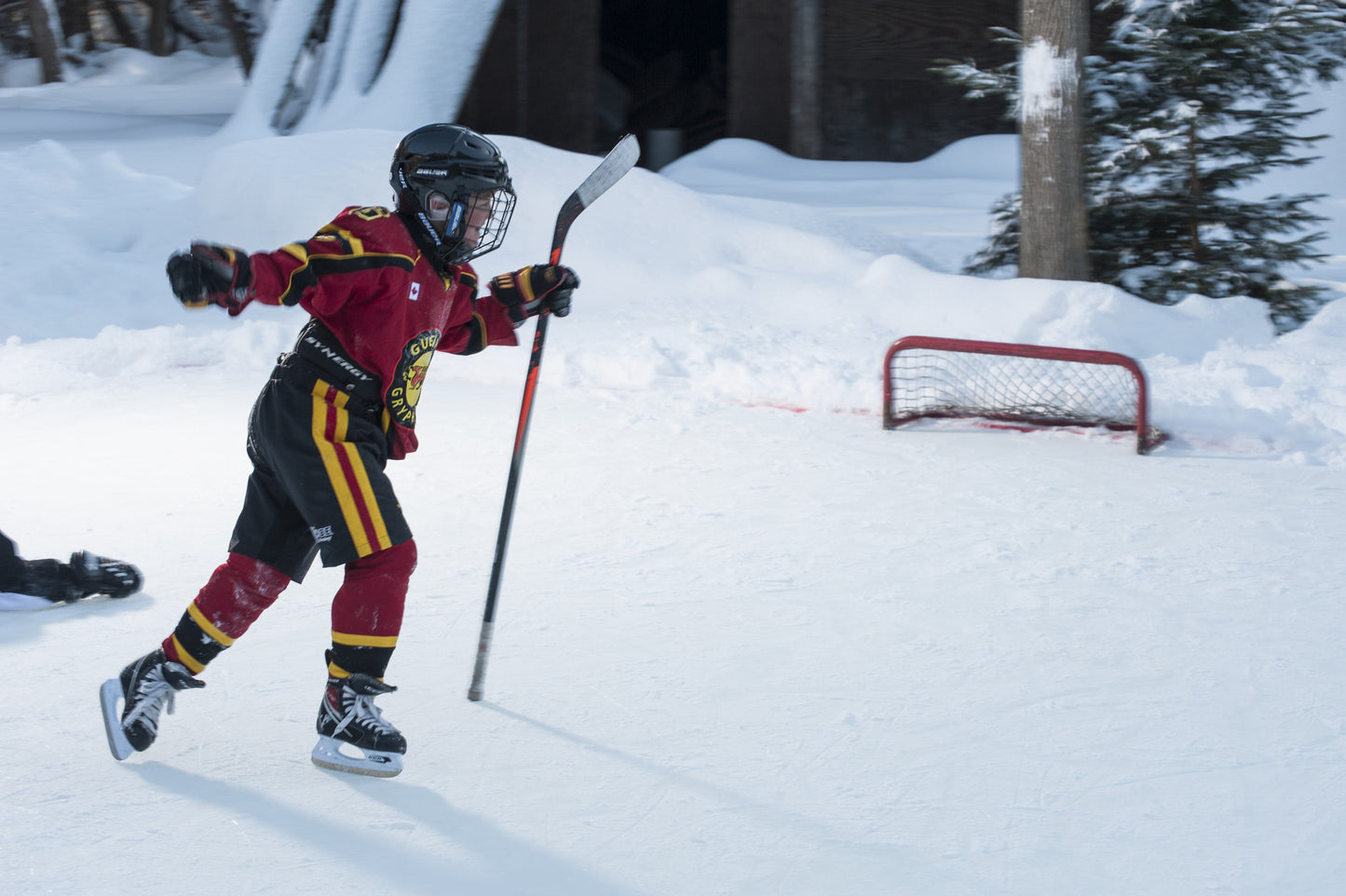 durable Pond Hockey Net 3 x 1ft